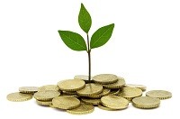 Money Plant